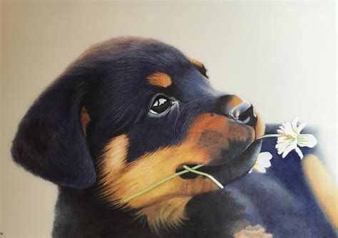 Cute Puppy Painting By Ankit Pixels