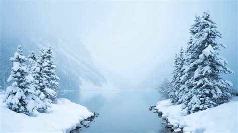 Sfondi Lago Natura La Neve Inverno Fotografia Brina Abete