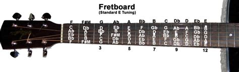 The fretboard diagram below can be saved as a picture and then printed out. Guitar Fretboard Notes Diagram | Guitar fretboard, Guitar ...