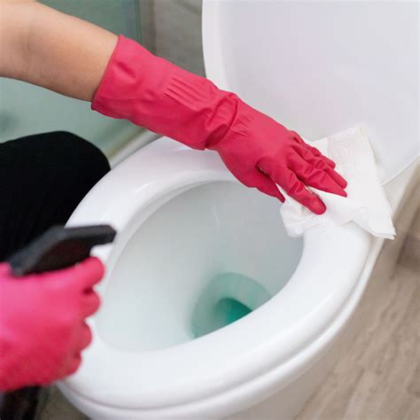 How To Clean A Toilet Seat Storables