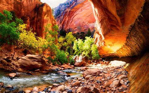 Hiking In The Narrow Canyon Of Virgin River In Zion National Park Utah