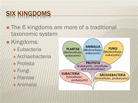 Ppt Chapter 17 Classification Of Organisms Powerpoint Presentation