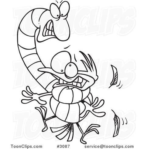 Cartoon Black And White Line Drawing Of A Big Worm Strangling A Bird