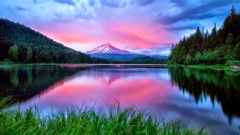 Wallpapers available in hd and 4k quality. 49+ PC HD Wallpaper of Nature on WallpaperSafari