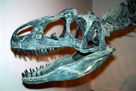 The 10 Most Important Dinosaurs Of North America