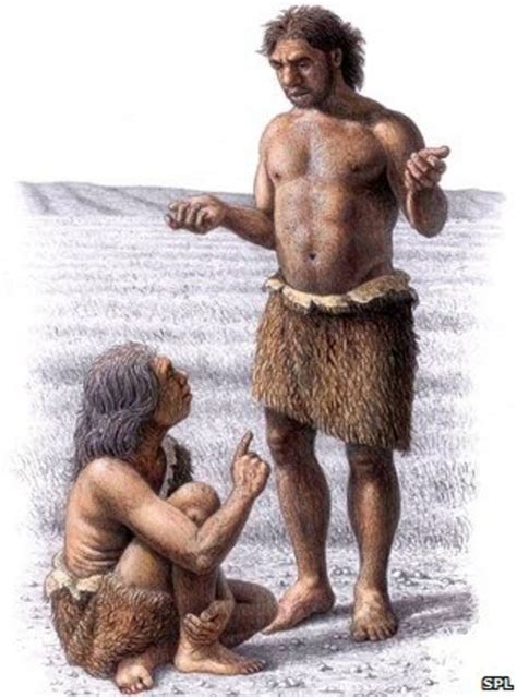 Homo Sapiens Vs Neanderthals