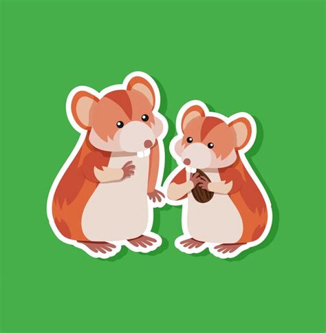 Premium Vector Cute Hamster Sticker Character