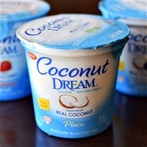 What is the best dairy free yogurt? Coconut Dream Non-Dairy Yogurt (Review)