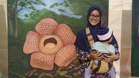 Pengertian dan habitat bunga raflesia arnoldi bunga bangkai. Terbaru 12+ Bunga Raflesia Di Gambar Menggunakan Pensil ...