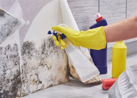 Open windows or use a fan in the room while working. How to Get Rid of Damp - Decart Design