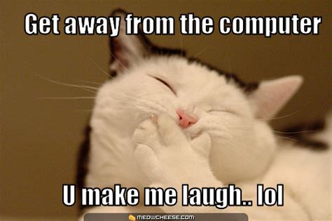 Lol Funny Cat Cats Photo 18081863 Fanpop Page 6