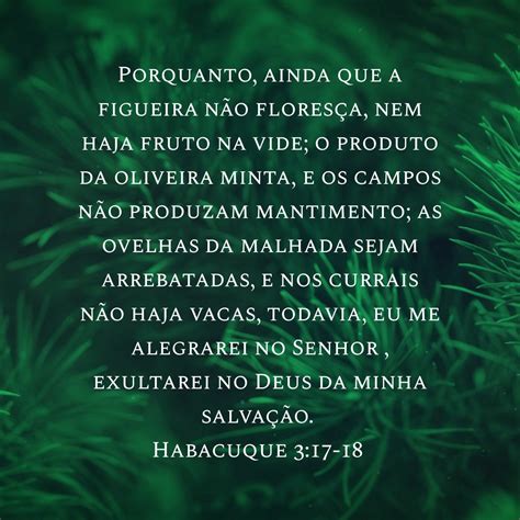 Ainda Que Nao Haja Fruto Na Vide