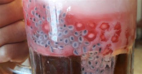 Biji selasih ini berasal dari bunga kemangi yang sudah kering dan biji tersebut direndam hingga muncul manfaat dan kandungan biji selasih. Resep Es campur homemade oleh Farida Utami - Cookpad