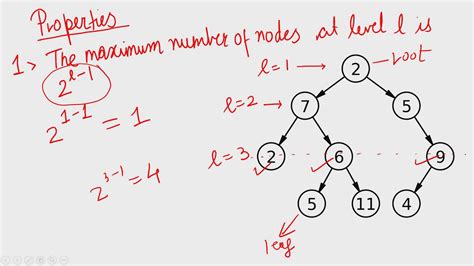 Properties Of Binary Tree Explained Intuitively Part 1 Of 2 Youtube