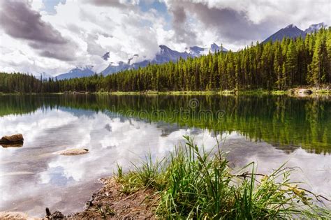 Herbert Lake In The Rockies Alberta Canada Stock Photo Image Of