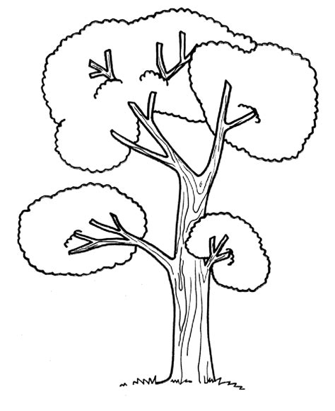 A sad tree in winter. Kids Coloring Pages Trees - Coloring Home
