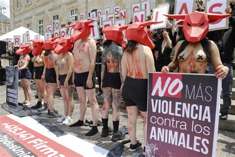 Colombians Protest In Bogota To Urge Ban On Bullfighting La Prensa Latina Media