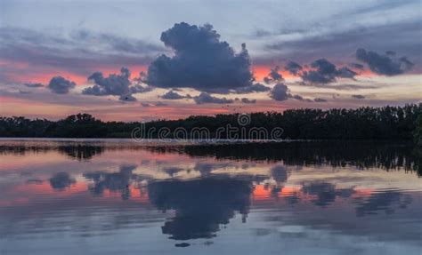 Sunset In Lake Of Everglades National Park Stock Photo Image Of