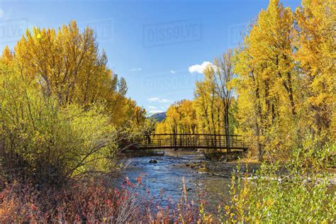 United States Idaho Sun Valley Big Wood River With Autumn Trees