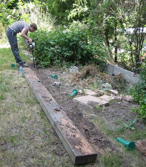 If your property is being overrun with birds, bees, bugs, or rodents, call our local vista office. Sara installing sentricon