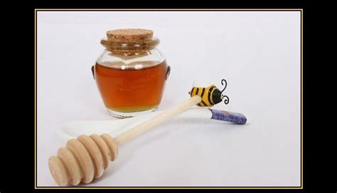 You Can Catch More Flies With Honey Than With Vinegar Proof Inside