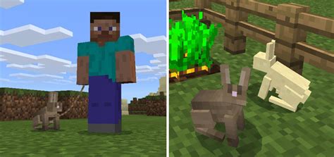 It consists of five video games, along with various books, merchandise and events, and an upcoming theatrical film. Tameable Rabbits Addon | Minecraft PE Mods & Addons
