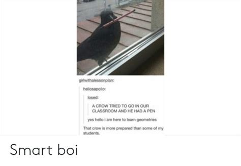 Girlwithalessonplan Heliosapollo Losed A Crow Tried To Go In Our Classroom And He Had A Pen Yes