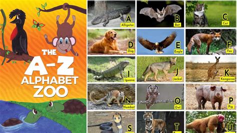 A To Z Animals Names Alphabet Zoo Learn Alphabets With Their Animals