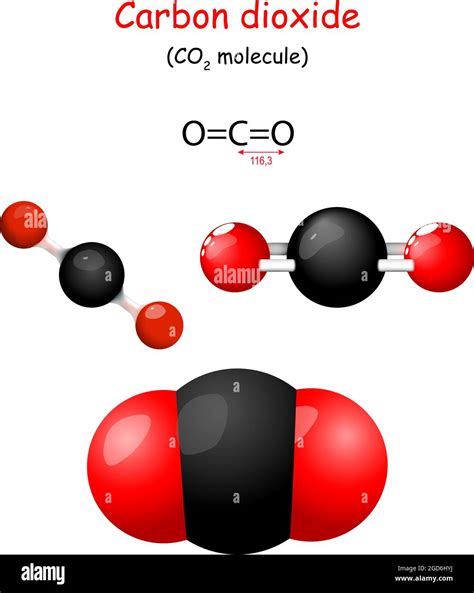Dioxyde De Carbone Formule Chimique Structurelle De Co2 Modèle De Molécule Chimie Affiche