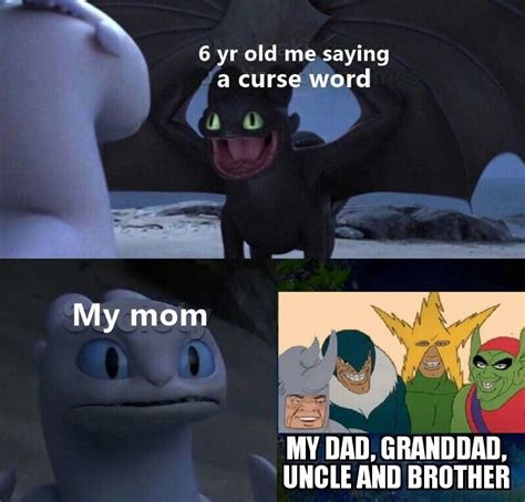 Toothless How To Train Your Dragon Meme About Photo Caption 6 Yr Old Me Saying A Curse Word My