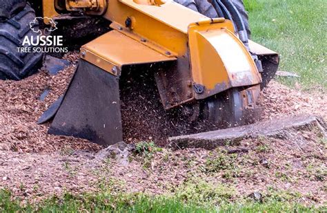 What Is Stump Grinding And How Does It Work
