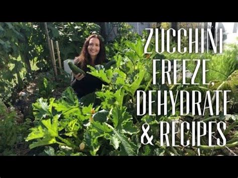 Learn how to store seeds for years. HOW TO MANAGE ZUCCHINI - GROW & PRESERVE TO EAT ALL YEAR ...