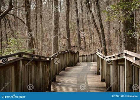 Walking Path On Wood Boardwalk Thru Woods Stock Image Image Of Path
