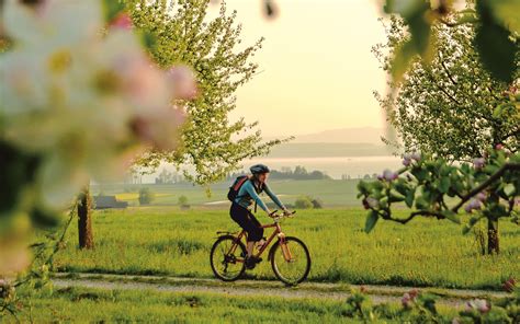 Bodenseeradweg The Classic Lake Constance Cycle Path Tourismus Bwde