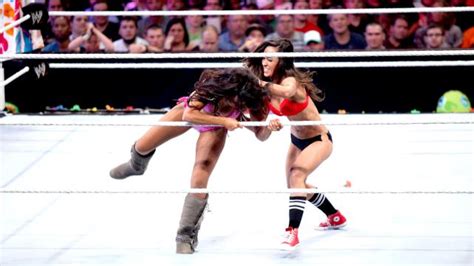 Divas Summertime Beach Battle Royal Wwe Divas Photo Fanpop