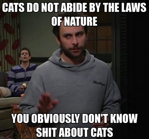 Itsalwayssunny Charlie Kelly Charlie Day Cute Cat Memes Uber Humor It S Always Sunny In