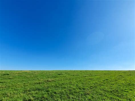 Green Grass And Blue Sky Free Stock Photo Public Domain Pictures