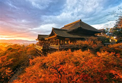 The Ultimate City Guide To Kyoto Japan From Foodie Hotspots To The