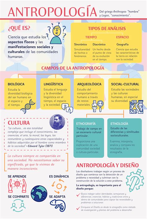 Infografía Antropología Antropologia Social Y Cultural Tecnicas De Enseñanza Tecnicas De