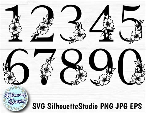 Floral Numbers In Svg Anniversary Birthday Numbers Etsy Graphic Design Programs Fancy