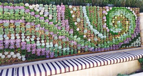 13 Outdoor Succulent Wall Garden Ideas Dalla Vita Hanging Succulents