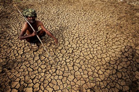 Farmer Suicides In India Over Years May Be Linked To Climate
