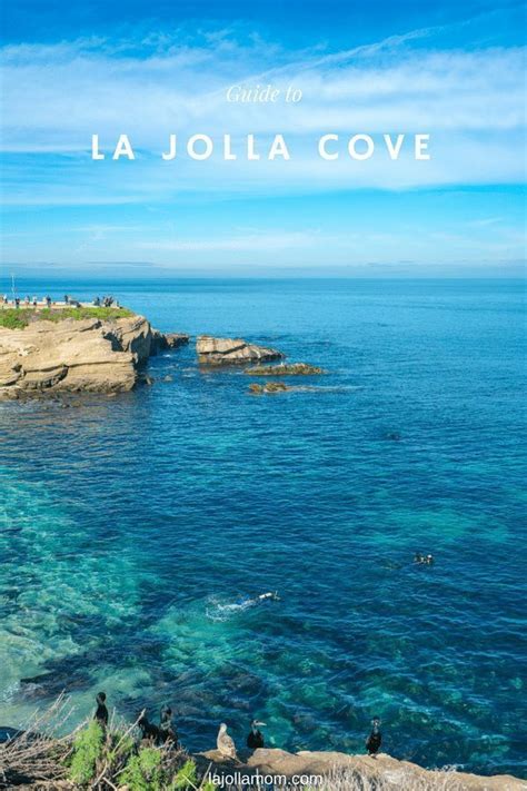 Maybe you would like to learn more about one of these? How to Spend a Day at La Jolla Cove | San diego vacation ...