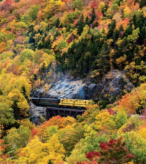 The Best 5 Fall Foliage Trains In New England New England