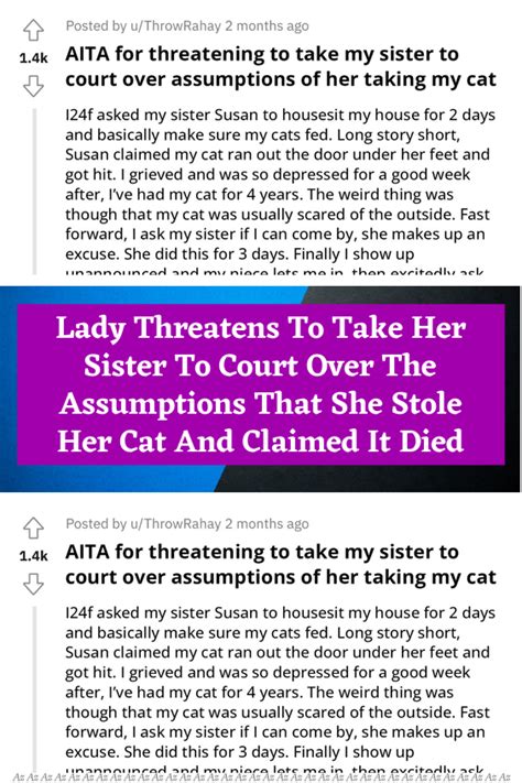 lady threatens to take her sister to court over the assumptions that she stole her cat and