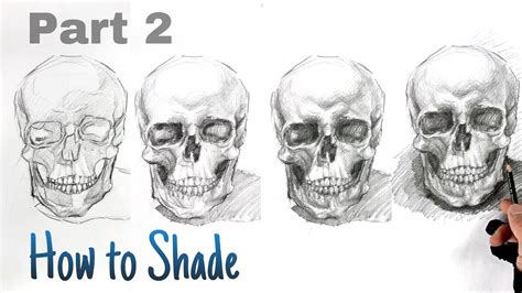 How To Draw Skull Step By Step Part 2 Youtube
