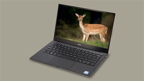 Best Laptops For Photographers In 2019 Photo Editing In Photoshop