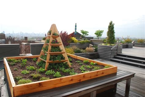 22 Edible Rooftop Garden 2022