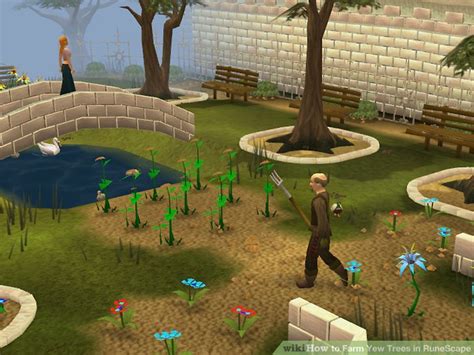 How To Farm Yew Trees In Runescape 8 Steps With Pictures