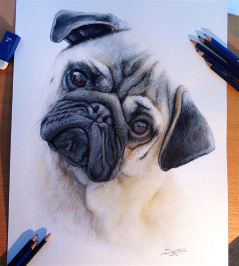 Ver más ideas sobre dibujos, dibujos de perros, dibujos bonitos. +15 Dibujos de perros que de seguro amarás - Arte Feed